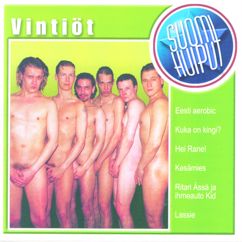 Vintiöt: Suomi Huiput