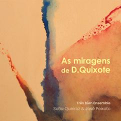 Très bien Ensemble, Sofia Queiroz, José Peixoto: Não há vento no lago