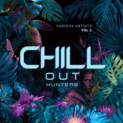 Various Artists: Chill out Hunters, Vol. 2