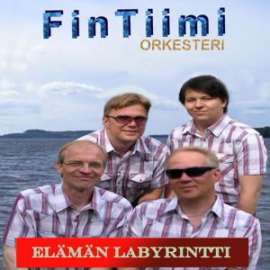 FinTiimi: Elämän labyrintti