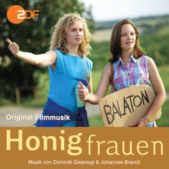 Dominik Giesriegl & Johannes Brandt: Balaton Theme