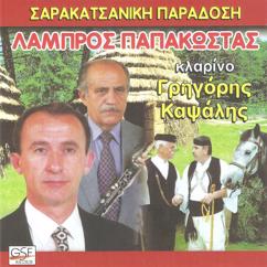 Grigoris Kapsalis: Σκάρος