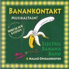 Electric Banana Band & Malmö Operaorkester: Det finns för mycket sånger om kärlek