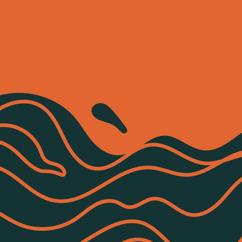 Setlist Damage: Through the Fire