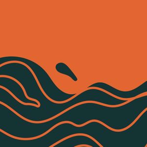 Setlist Damage: Through the Fire
