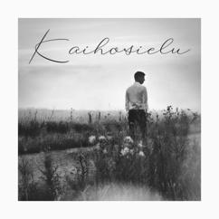 Komiat: Kaihosielu