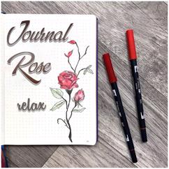 Dustin Le: Journal rose