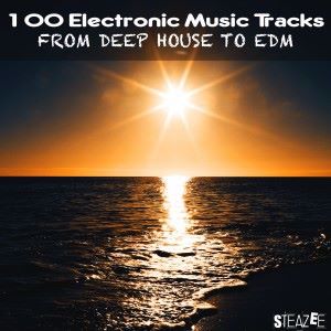 Various Artists: 100 Electronic Music Tracks from Deep House to EDM