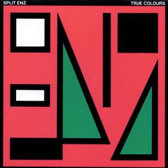 Split Enz: What's The Matter With You