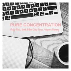 Study Help: Concentration (Original Mix)