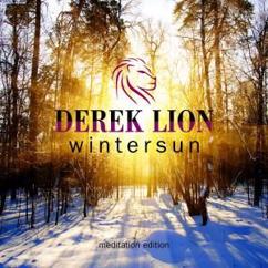 Derek Lion: Snowcovered Forest (Meditation Edit)