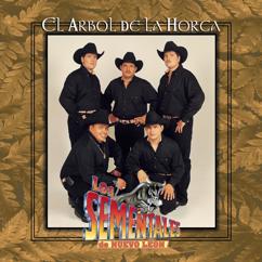 Los Sementales De Nuevo Leon: La Sirenita (Album Version)