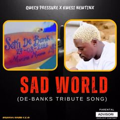 Qwecy Pressure: Sad World: A Tribute to DE-BANKS