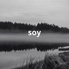 starlin swagger: soy