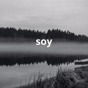 starlin swagger: soy