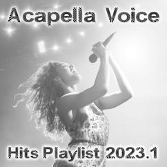 re:play: Hero (Acapella Vocal Version 118 BPM)