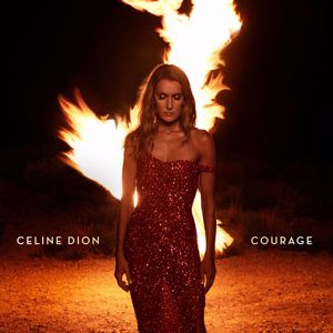 Céline Dion: Imperfections