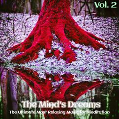 Various Artists: The Mind's Dreams,Vol. 2 (The Ultimate Most Relaxing Music for Meditation)