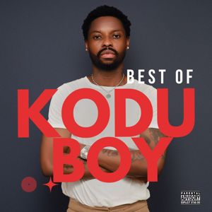 Folami: Best of Folami Faboo