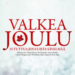 Various Artists: Valkea joulu