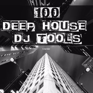 Various Artists: 100 Deep House DJ Tools
