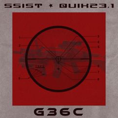 SSIST & Quik23.1: G36C