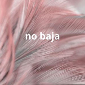 la michela MC: no baja