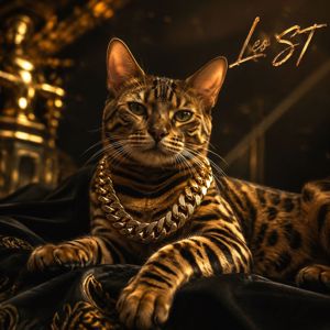 Leo ST: Motivation