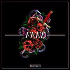 MADNESS: Feel