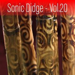 Ash Dargan: Sonic Didge, Vol. 20