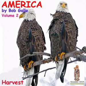 Bob Gallo: America, Vol. 2. Songs of Harvest
