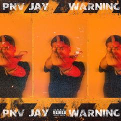 PNV Jay: Warning
