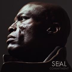 Seal: Weight of My Mistakes