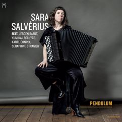 Sara Salvérius: In the Mean Time
