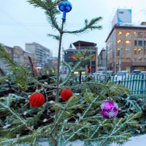 приступ (сердечный), Родион Гвоздодёров & рЕп_полиция: Преднового́дний трек