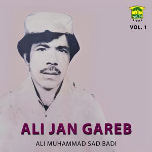 Ali Muhammad Sad Badi: Ali Jan Gareb, Vol. 1