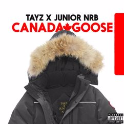 Tayz & Junior NRB: Canada Goose