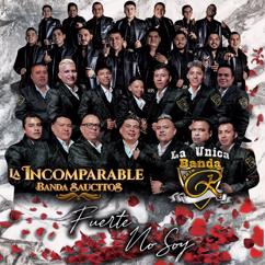 La Unica Banda de la R, La Incomparable Banda Saucitos: Fuerte No Soy
