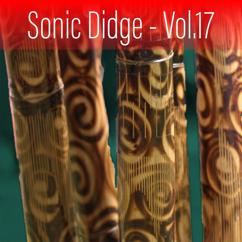 Ash Dargan: Sonic Didge, Vol. 17