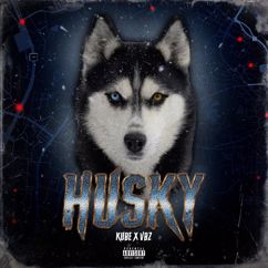 Kube, VBZ: HUSKY