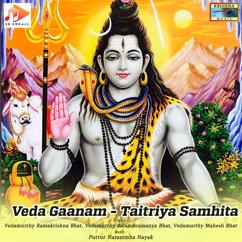 Puttur Narasimha Nayak: Veda Gaanam - Taitriya Samhita