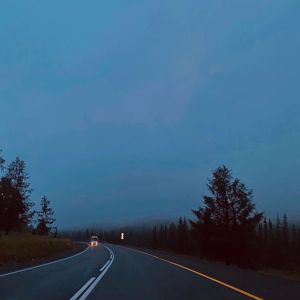 Renus: Дорога дальная
