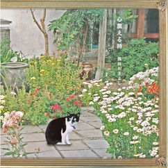 Kiyoshi Hasegawa: Yogorecchimatta Kanashimini