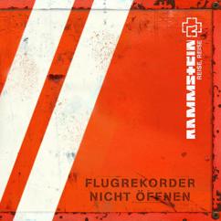 Rammstein: Mein Teil (Album Version)