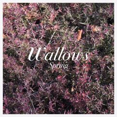 Wallows: These Days