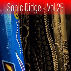 Ash Dargan: Sonic Didge, Vol. 29