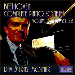 David Ernst Molnar: Beethoven: Complete Piano Sonatas, Vol. 3, No. 21-32