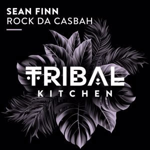 Sean Finn: Rock da Casbah