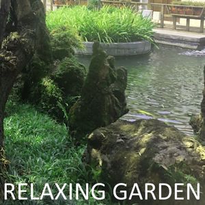 Various Artists: Relaxing Garden