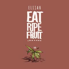 Elijah Salomon feat. Raging Fyah & Joe Ariwa: Orange Herb Dub